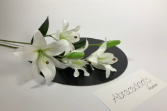 fleurs de lys blanc